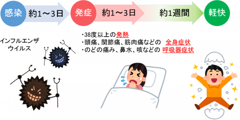 冬の三大感染症 ｜ ブログ｜辻堂たいへいだい耳鼻咽喉科｜神奈川県藤沢市